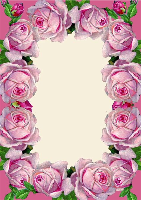 beautiful pink roses pictures|free printable pink roses.